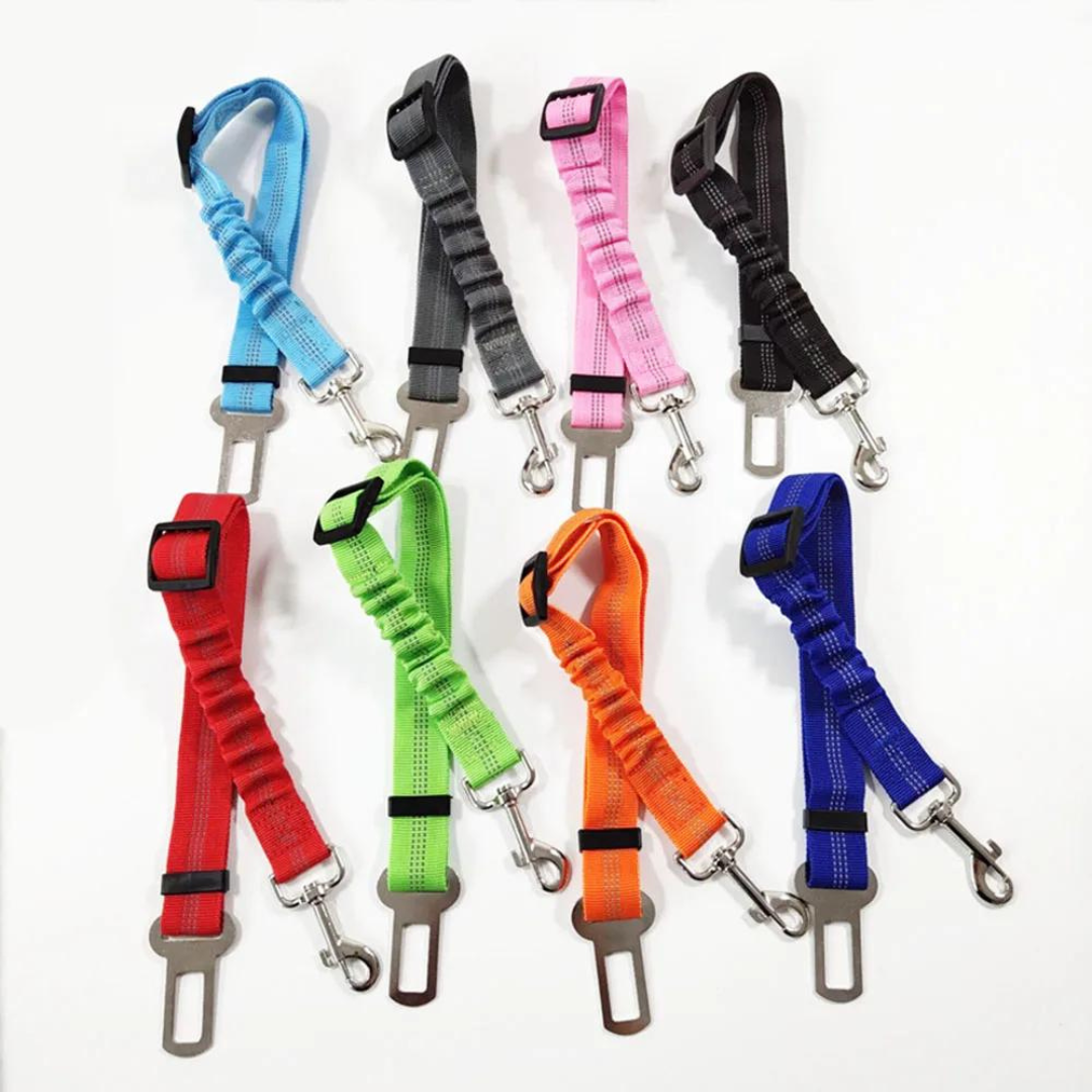 Ceinture de sécurité pour chien