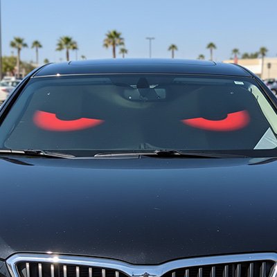 Pare soleil voiture-MaxProtect™