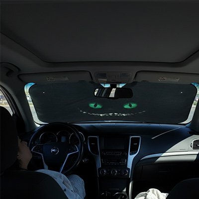 Pare soleil voiture-MaxProtect™