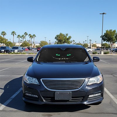 Pare soleil voiture-MaxProtect™