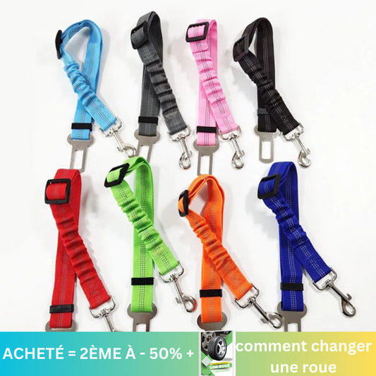 Ceinture de sécurité pour chien