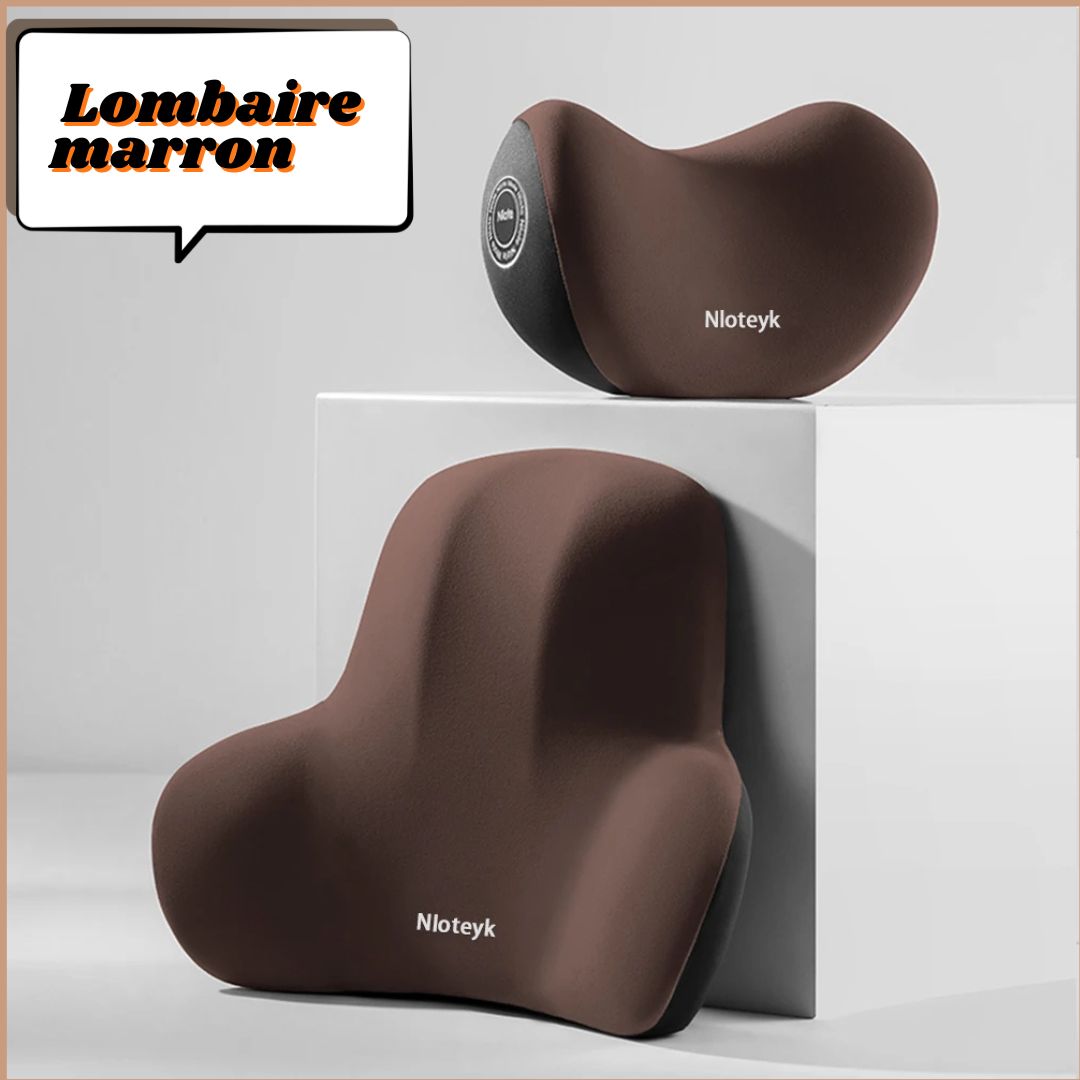 Coussin lombaire de voiture