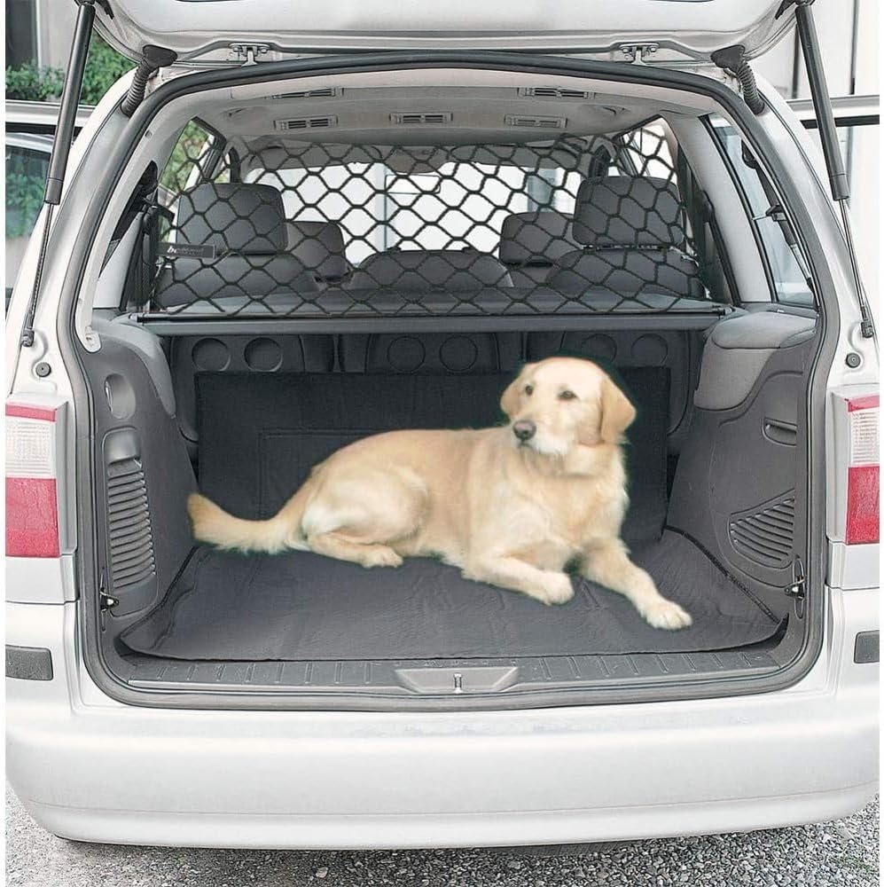 Filet voiture pour chien