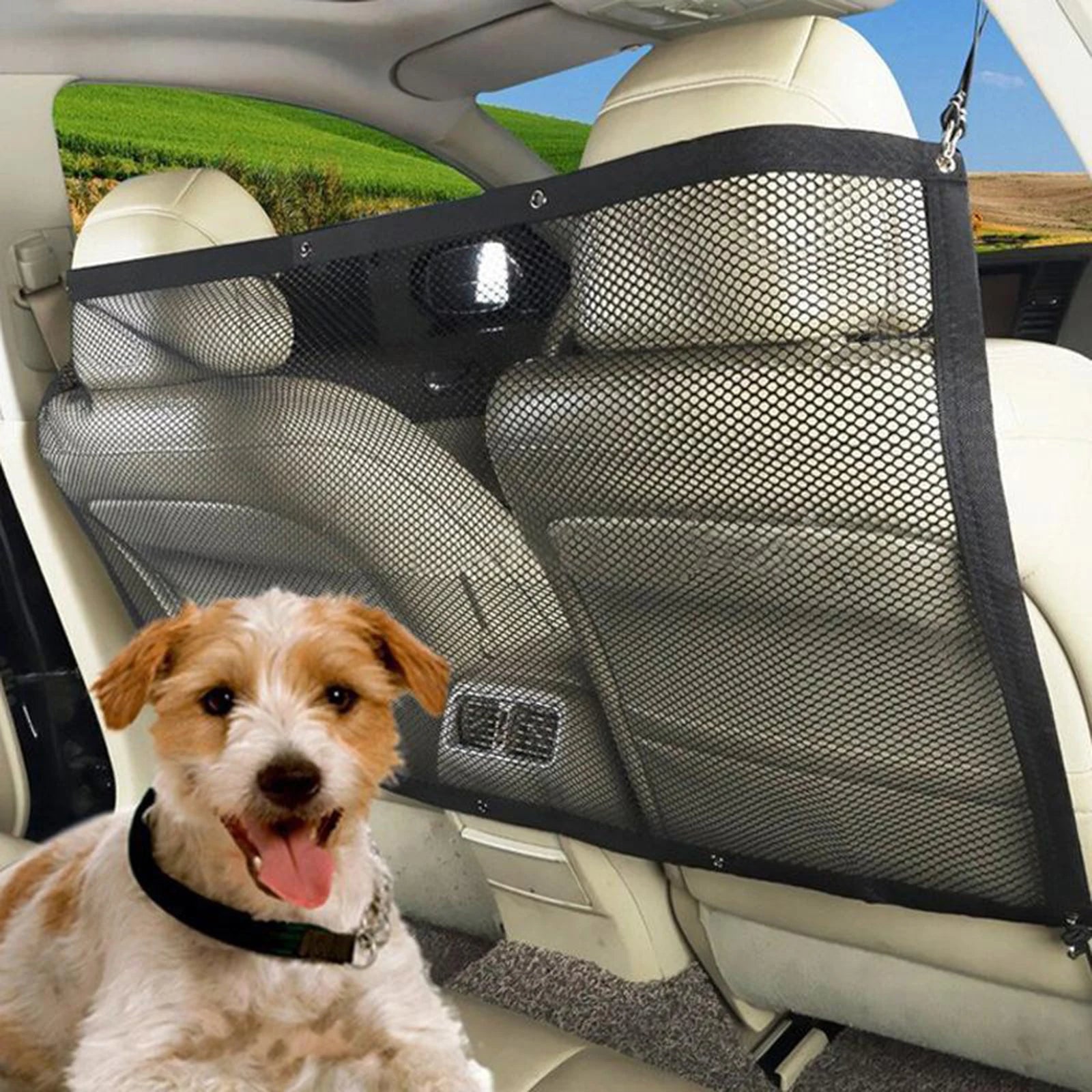 Filet de protection pour chien