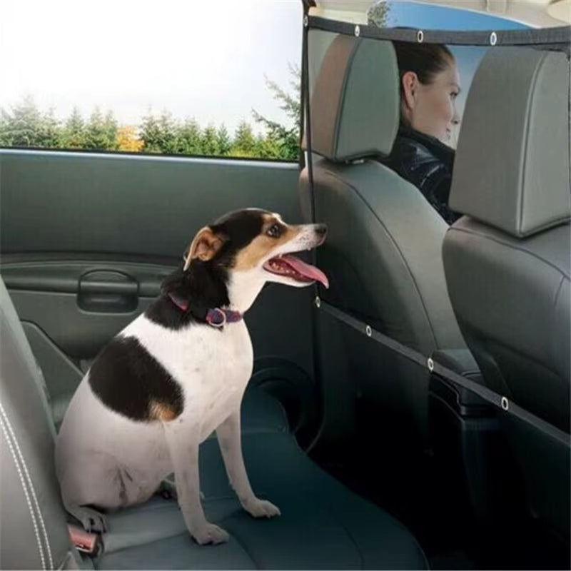 Filet de protection pour chien