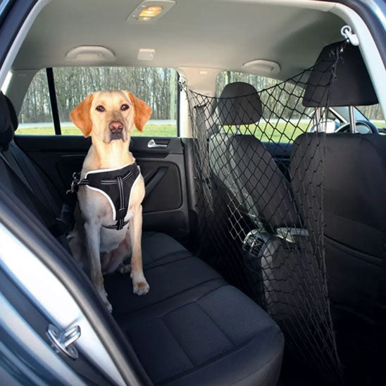 Filet voiture pour chien