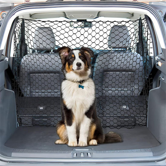 Filet voiture pour chien