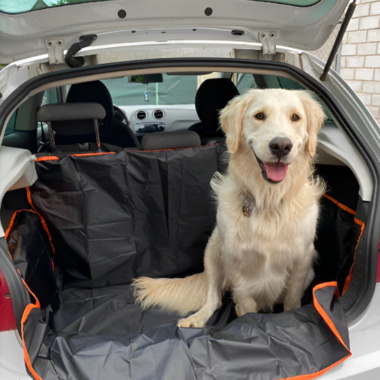 Housse protection coffre pour chien