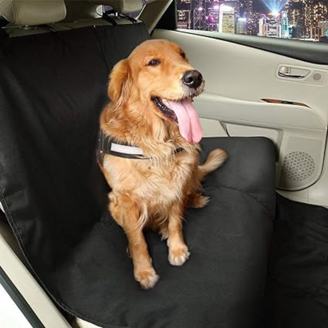 Protège siège de voiture pour chien