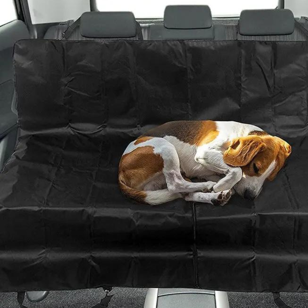 Protège siège de voiture pour chien