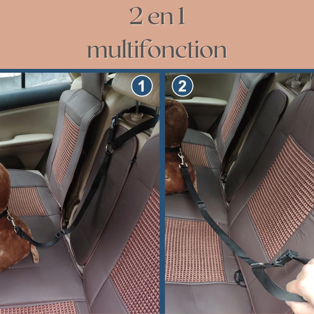 Laisse pour chien-LaisseAuto™ Rnlibre-multifonction