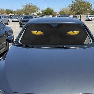 Pare soleil voiture-MaxProtect™